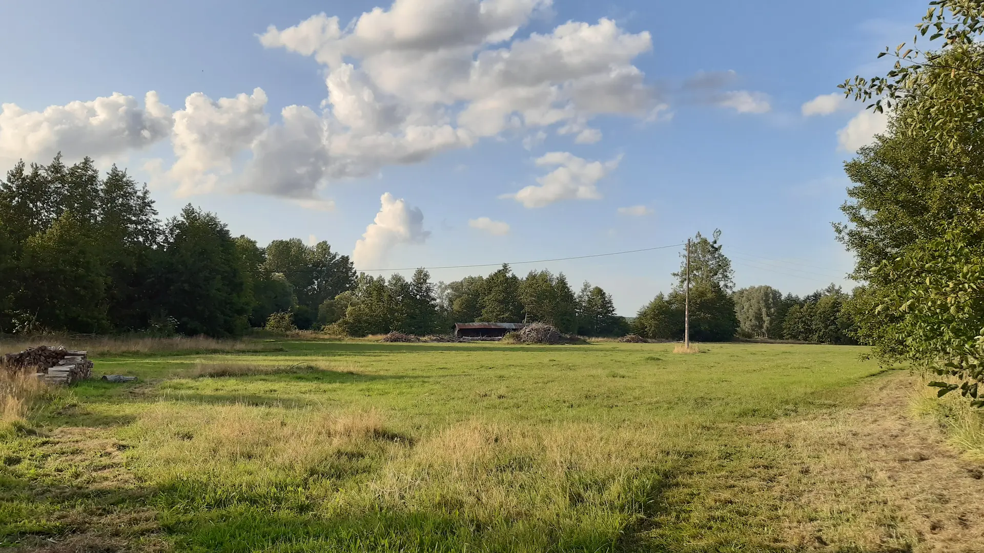 Emplacement pâture de l'île 1