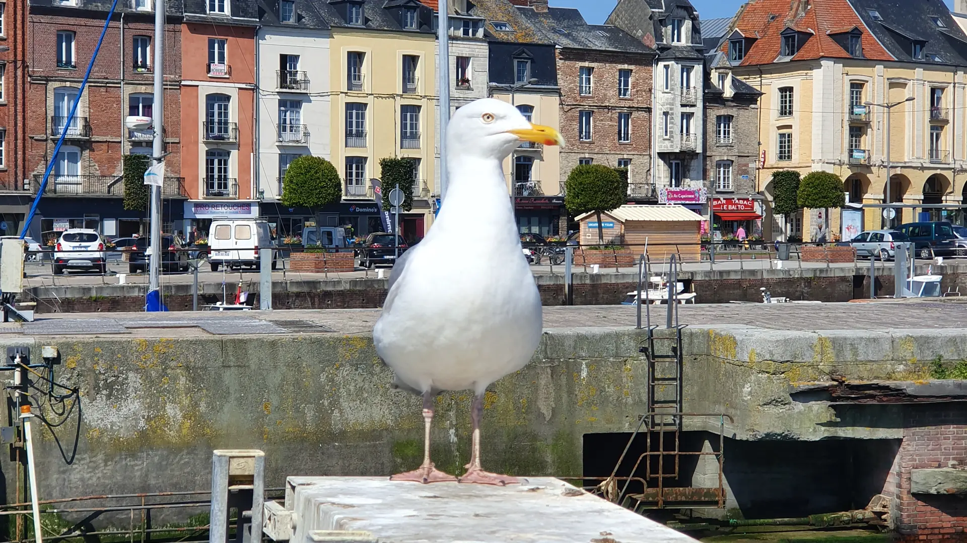 Cité Maritime