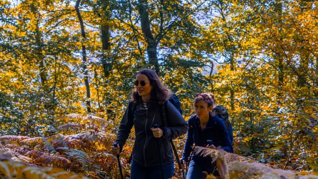 2024-10-23 - Reportage rando Foret Automne_V.DEBELS-105