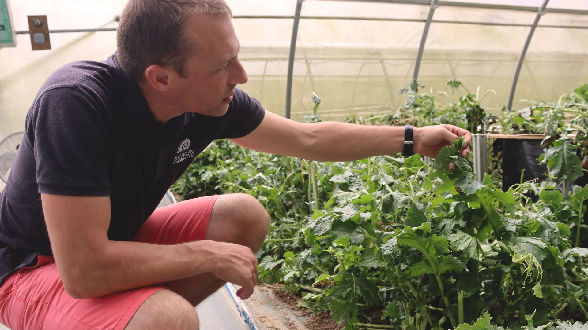 20240806_La ferme aux escargots_credit OIT FECAMP (3)