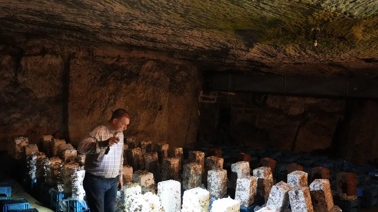 2025- Visite guidée par Mr Olivier Perrel propriétaire de la champignonnière d'Orbec  (9)