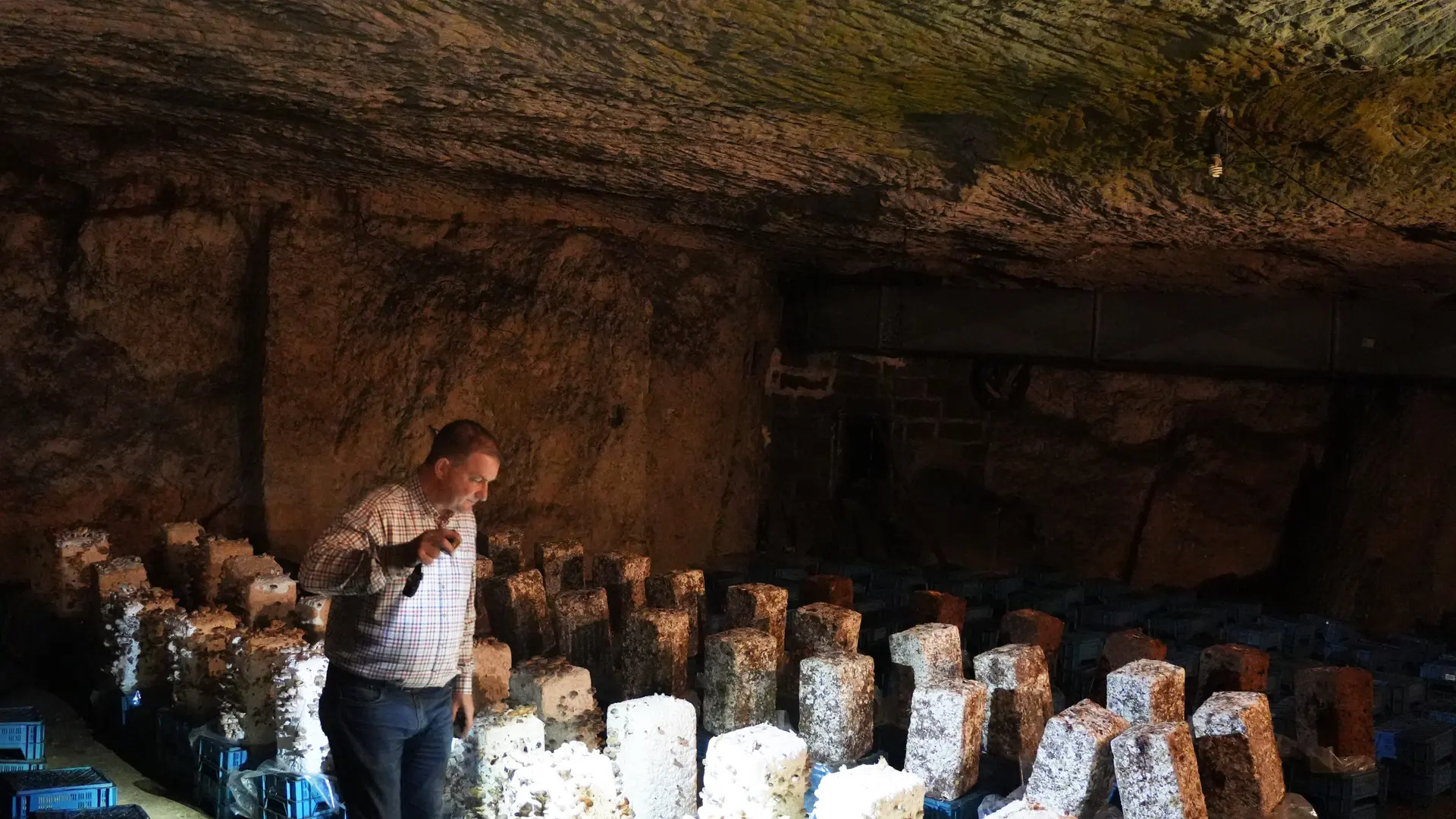 2025- Visite guidée par Mr Olivier Perrel propriétaire de la champignonnière d'Orbec  (10)