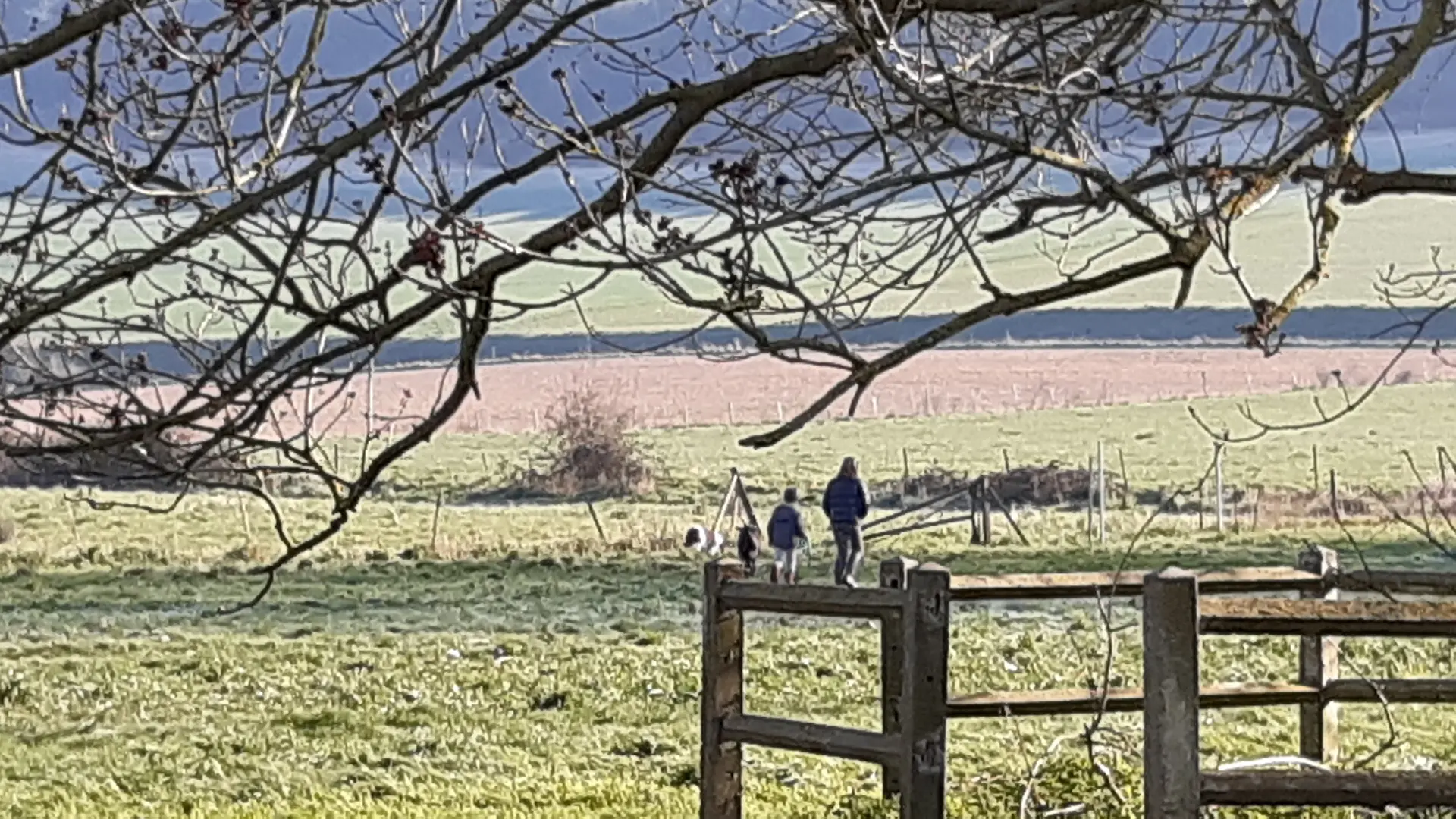 Paysage à la Ferme du Pollet