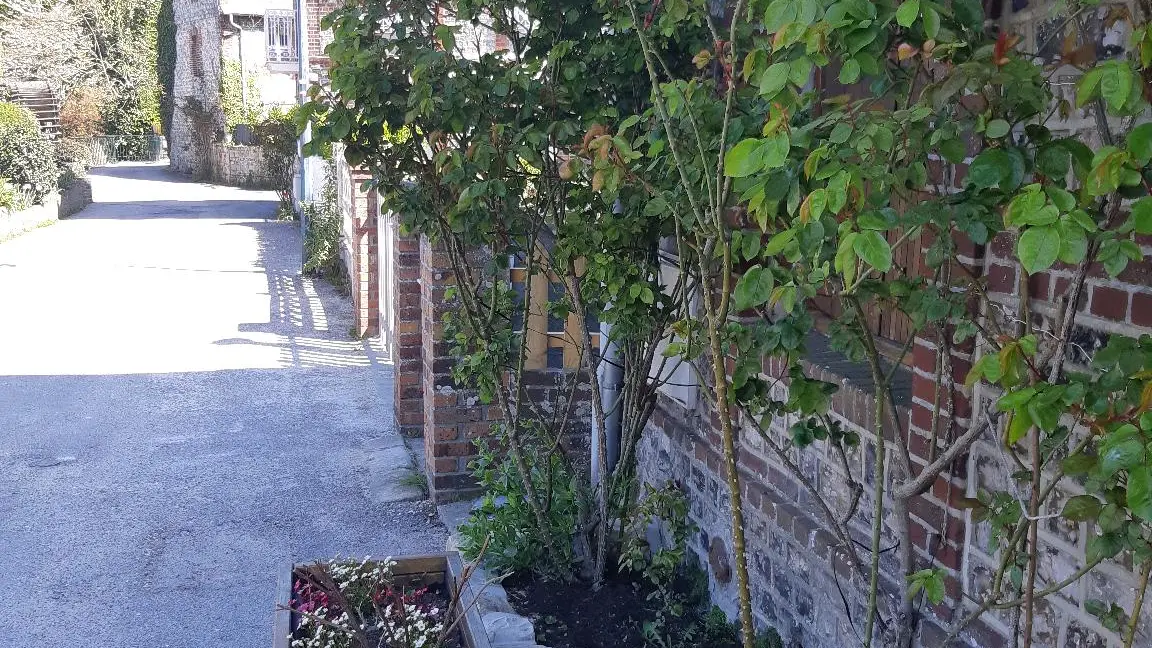 Jardinière et bac à fleurs juste à gauche de la porte d'entrée de notre maison.
