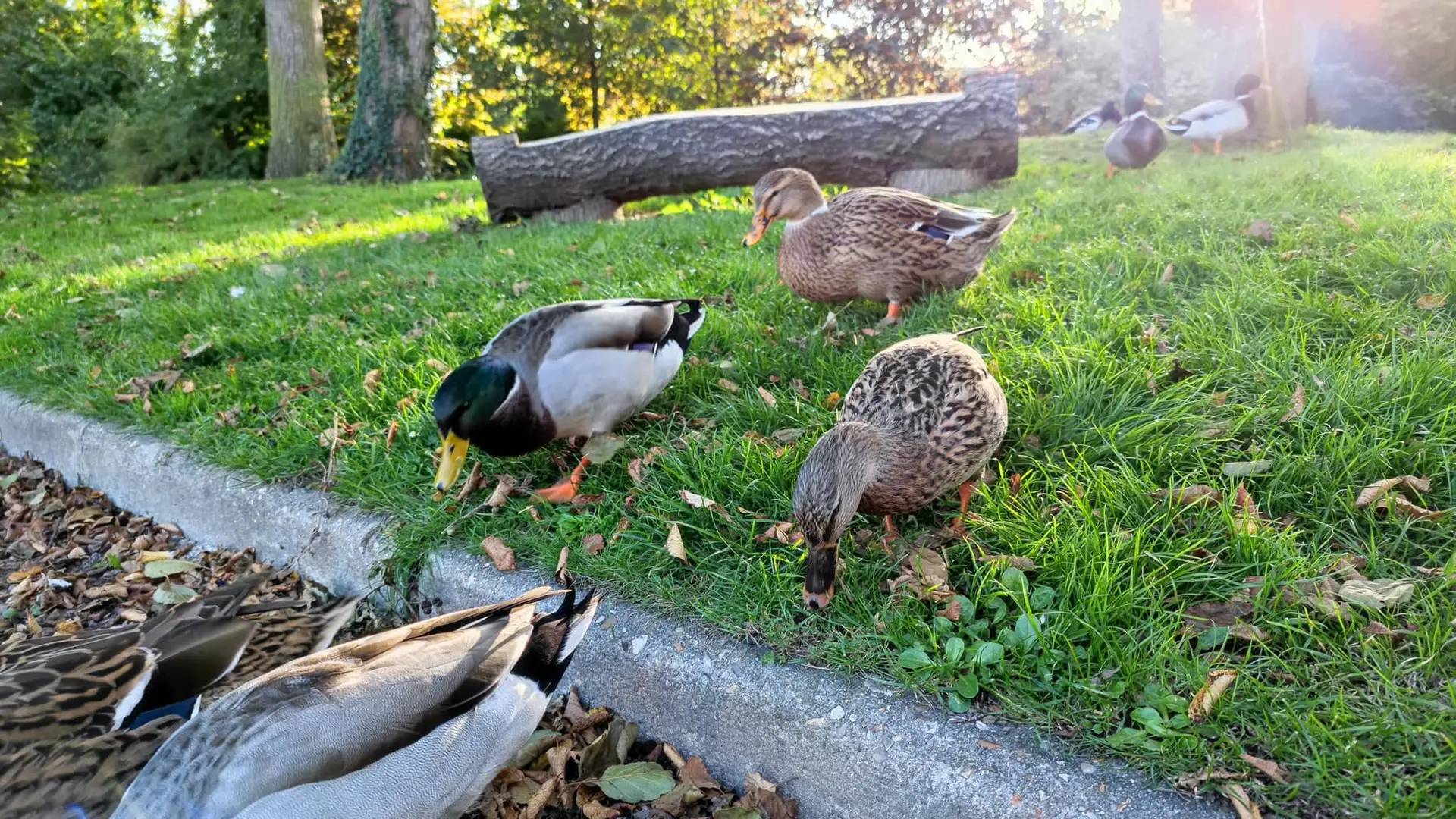 249228921_1569405470068623_8414129204537051221_n