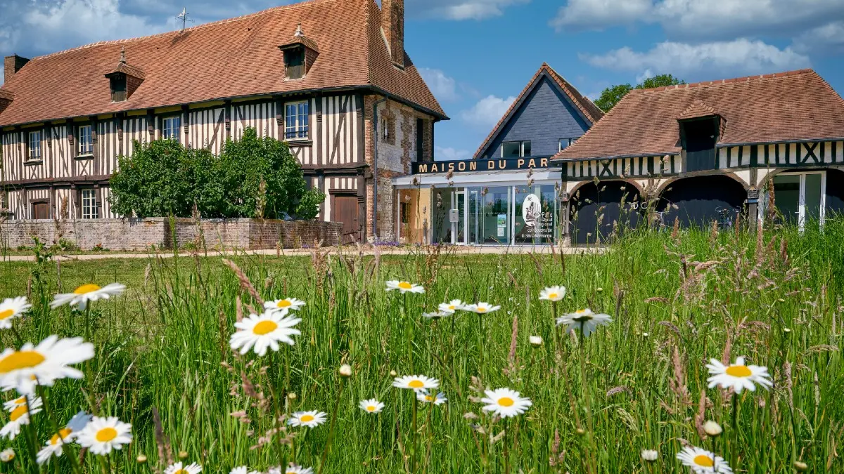 Parc des Boucles de La Seine Normande - Notre-Dame-de-Bliquetuit