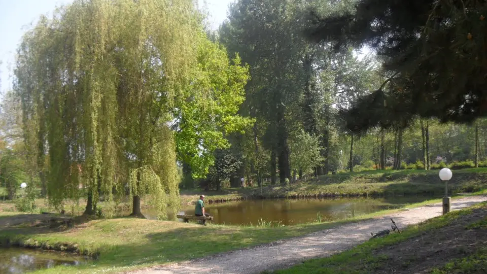 La Truite du Buisson