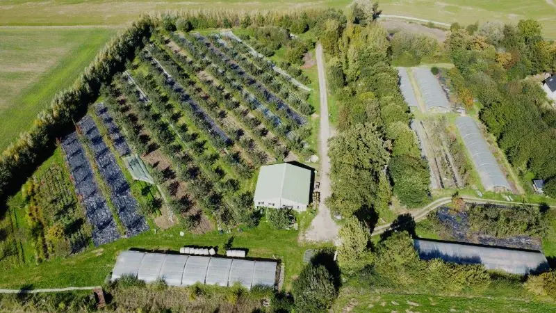 ferme des rufaux