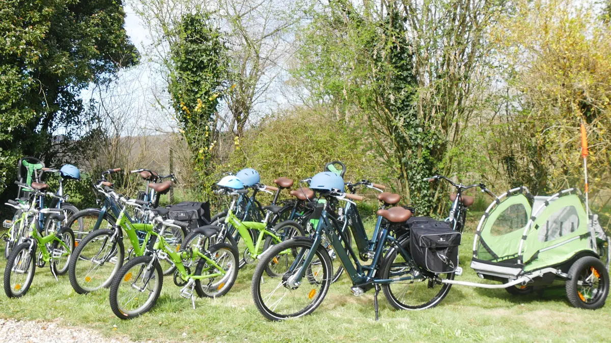 Locations de vélos - Panda Motion