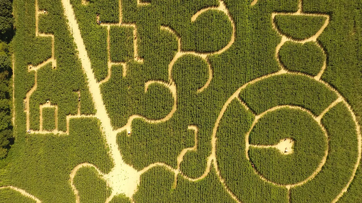 Labyrinthe de l'Estuaire