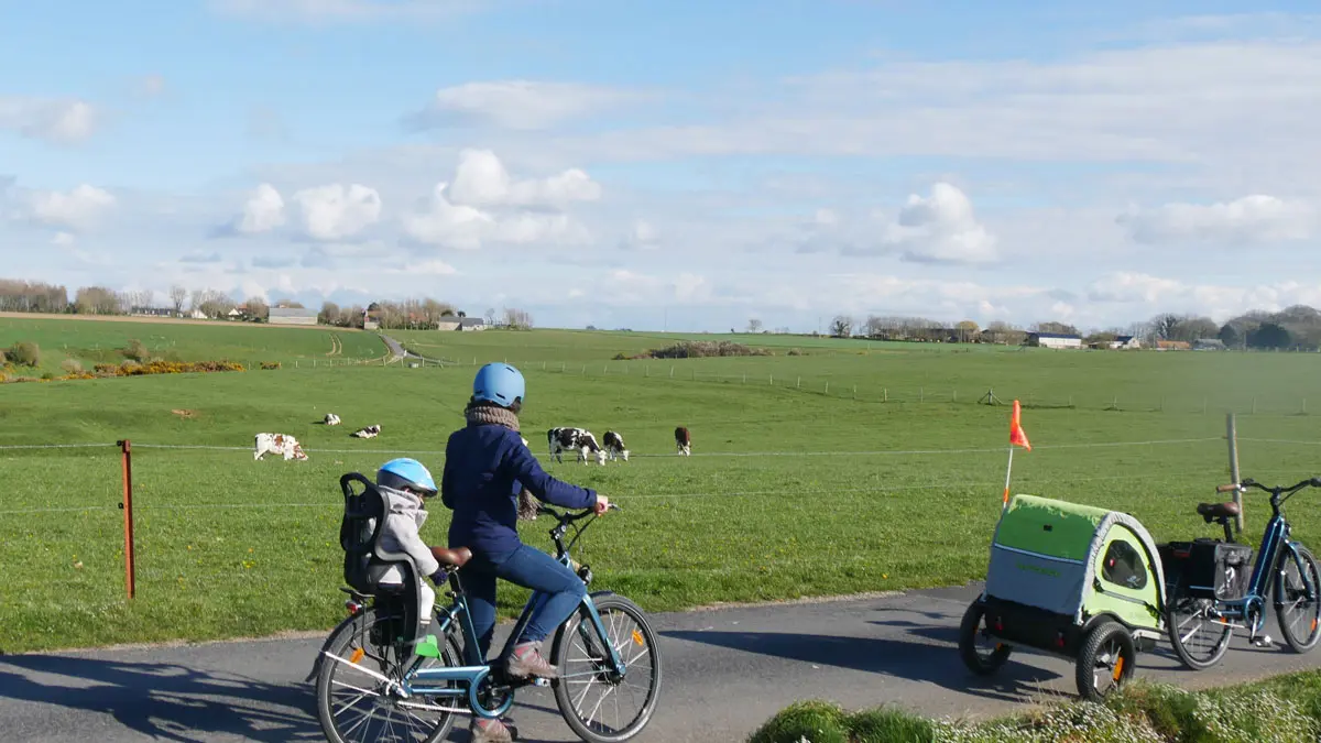 Locations de vélos - Panda Motion