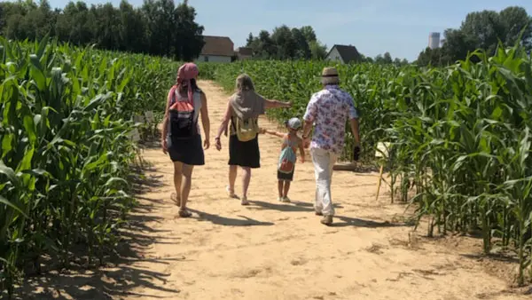 Labyrinthe de l'Estuaire