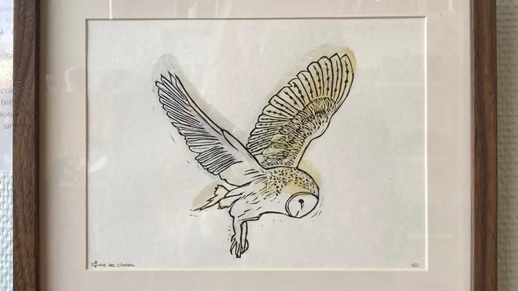 ART LOC HALLES BUCHY © ML VITTORI (5)