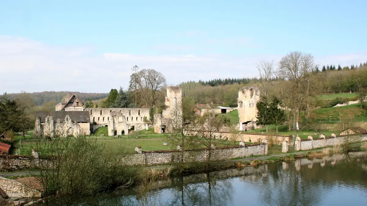 Abbaye de Mortemer-vue d'ensemble