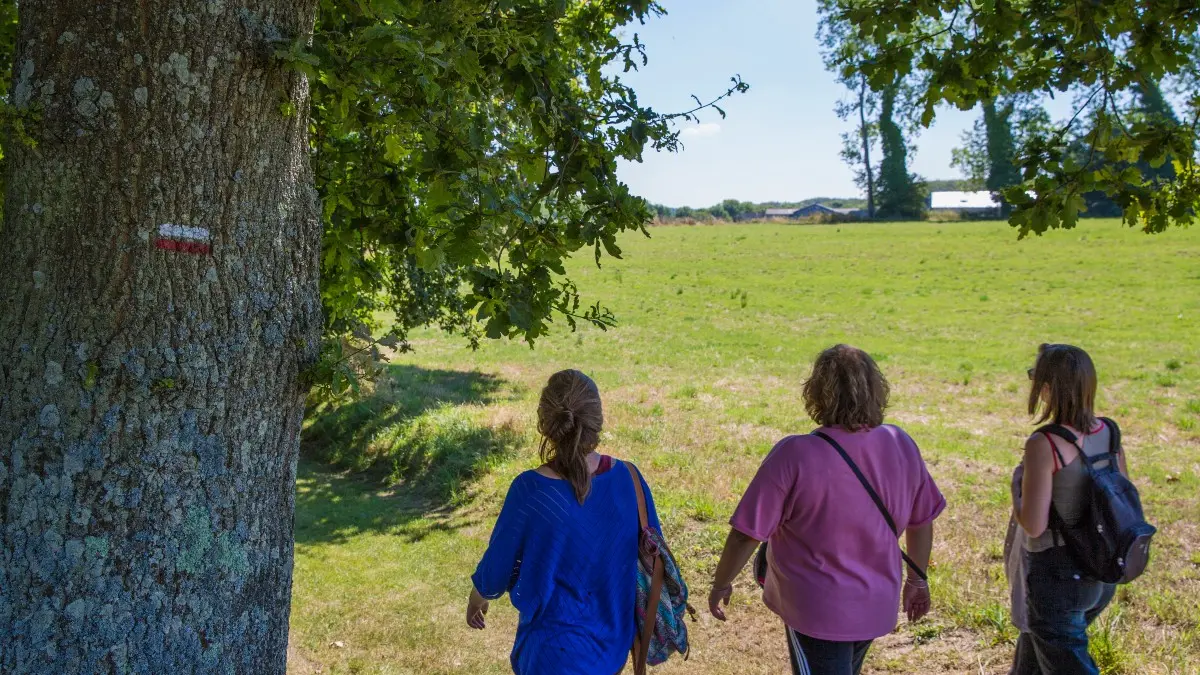 Randonnée dans le pays de Caux