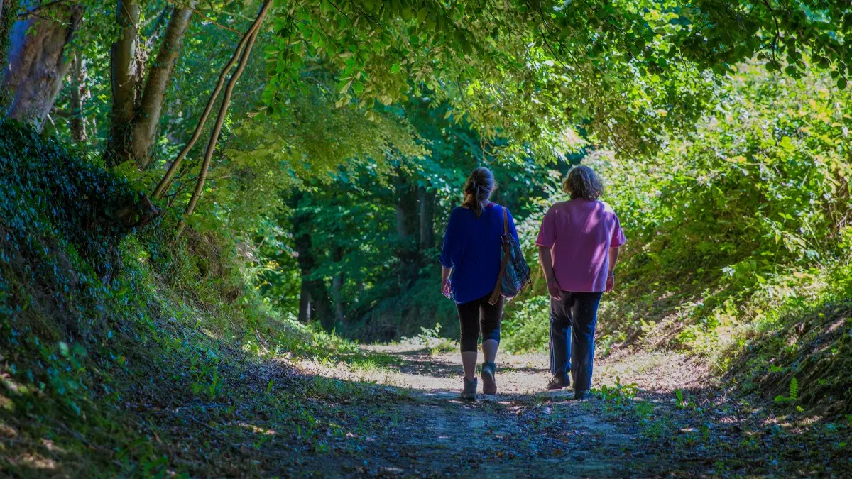 Randonnée aux alentours de Fécamp