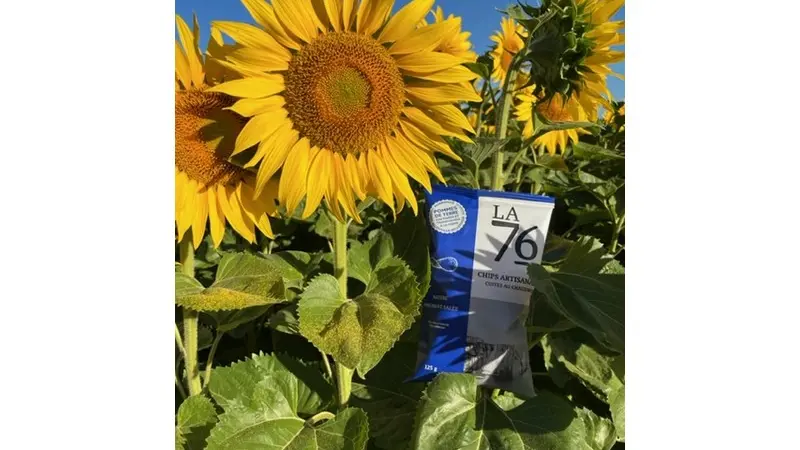 Allouville-Bellefosse_ChipsLa76©F.Loobuyck