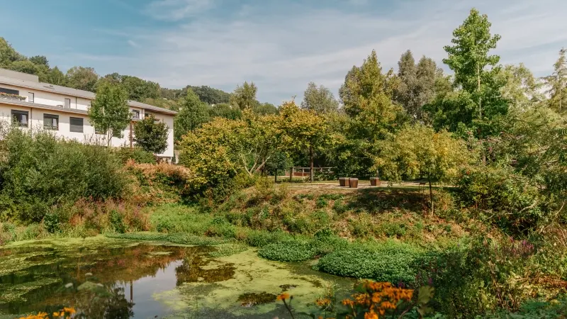 Archipel des eaux mêlées Duclair