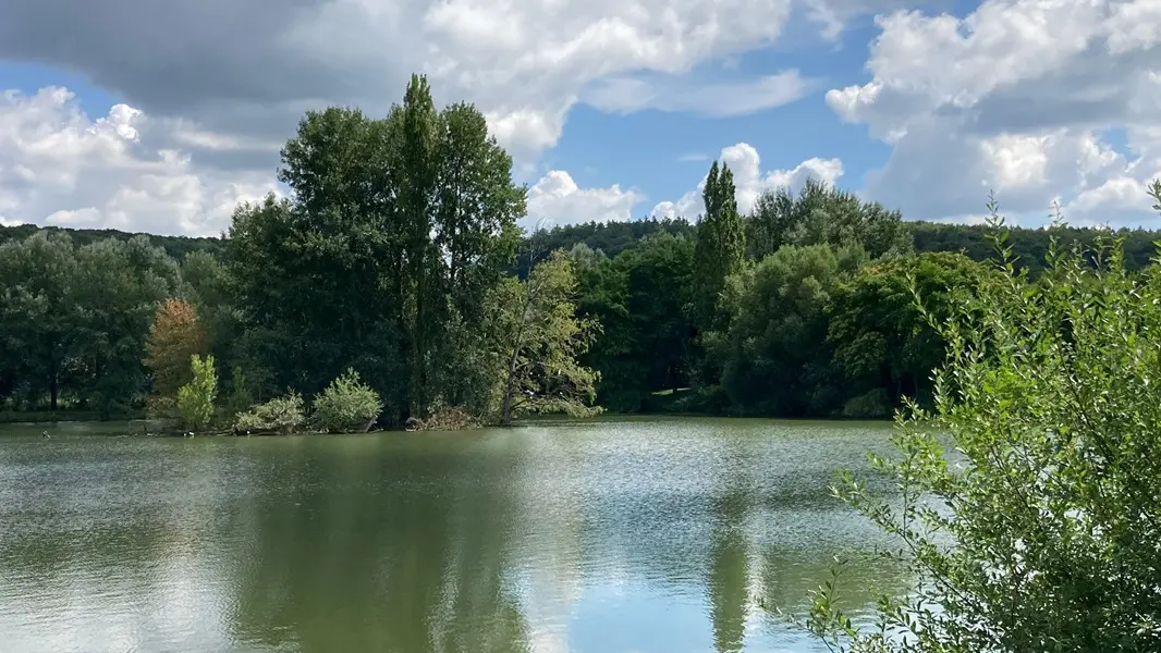 Base-de-loisirs-de-Montville-Normandie-proche-Rouen©ML Vittori OTNCV