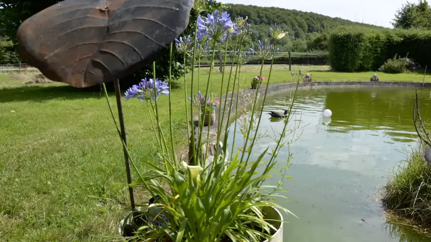 Bassin