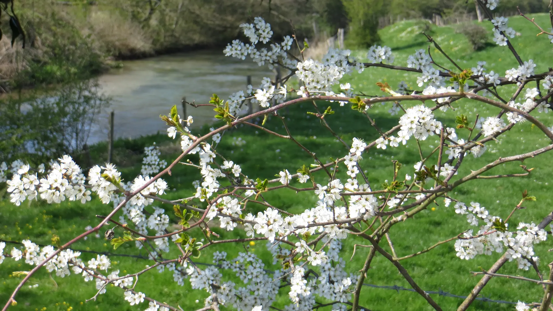 Boucle 6 Cent-Acres ©PAT Terroir de Caux (36)