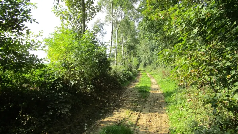 Boucle de randonnée La Bichotterie