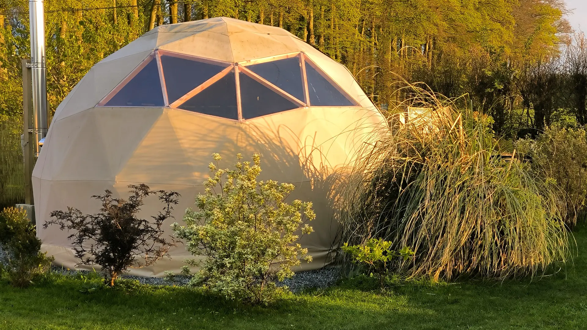 Bulle en pleine nature