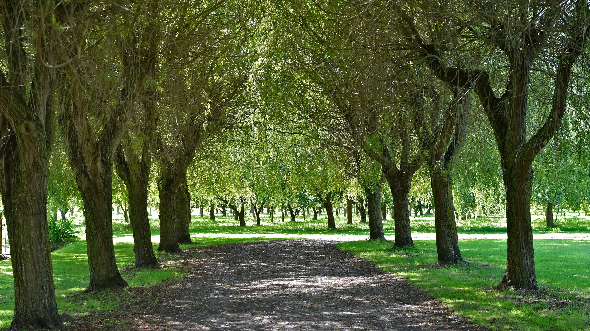 CRIEL_Trois Clos des Prés_009