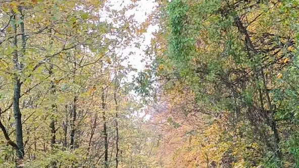 Chemin vert du Petit Caux