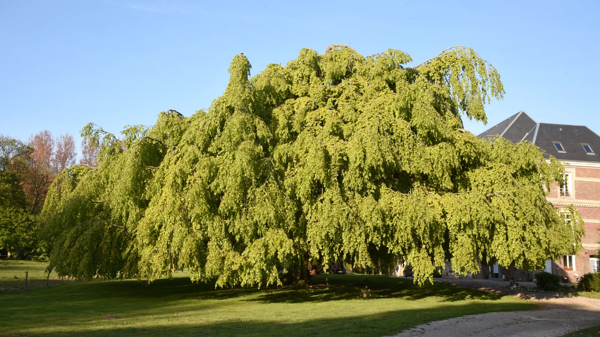Le parc
