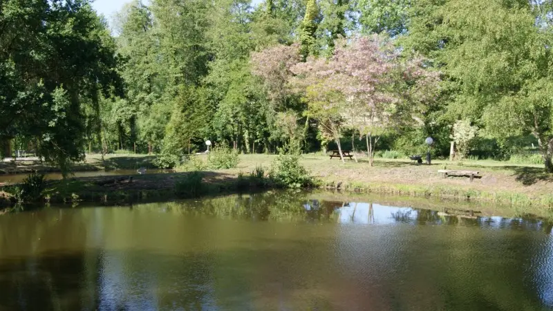 La Truite du Buisson