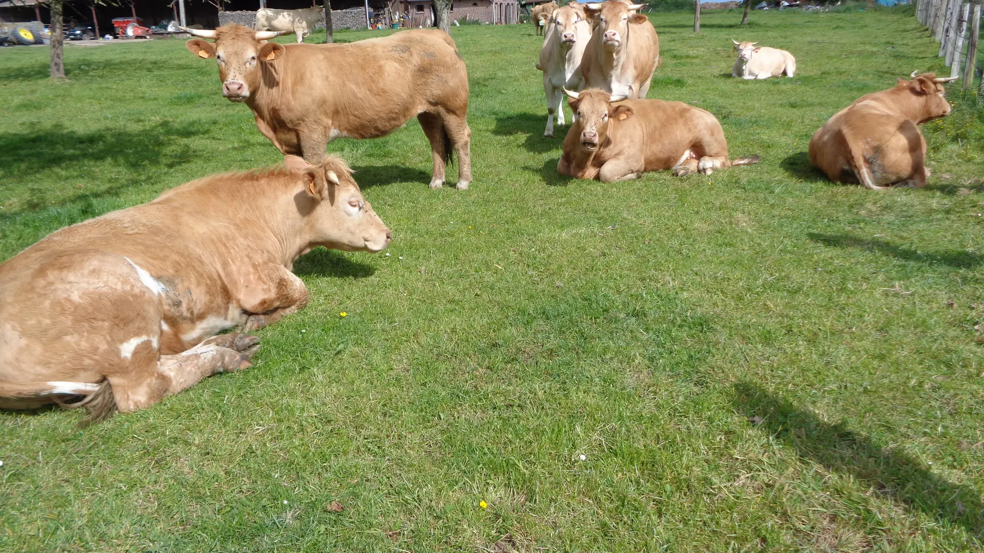 a la ferme