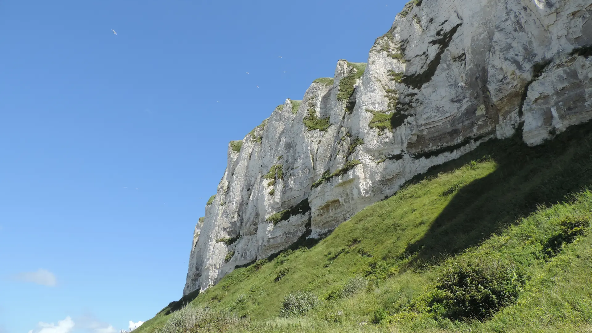 FRONT DE MER DE FALAISE 317. La falaise