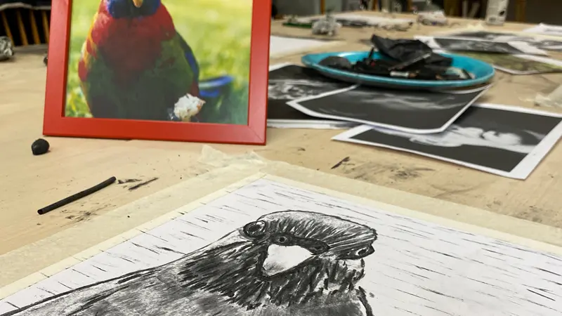 Cours de Dessin