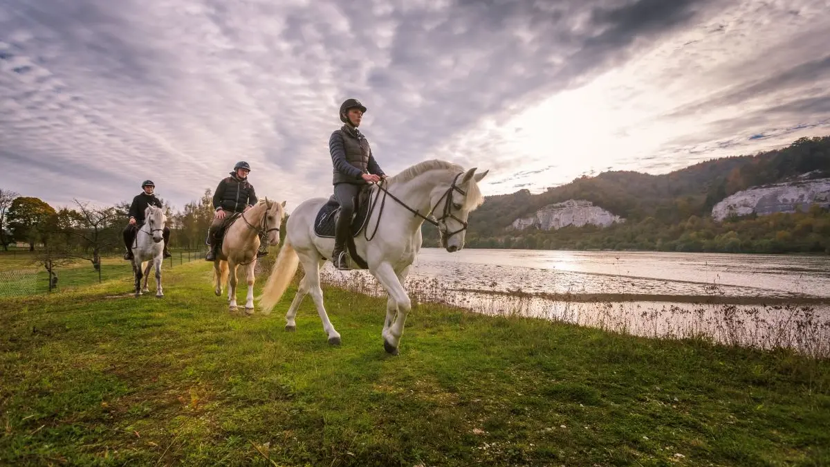 EQUI NORMANDIE HARAS DU LOUP 3