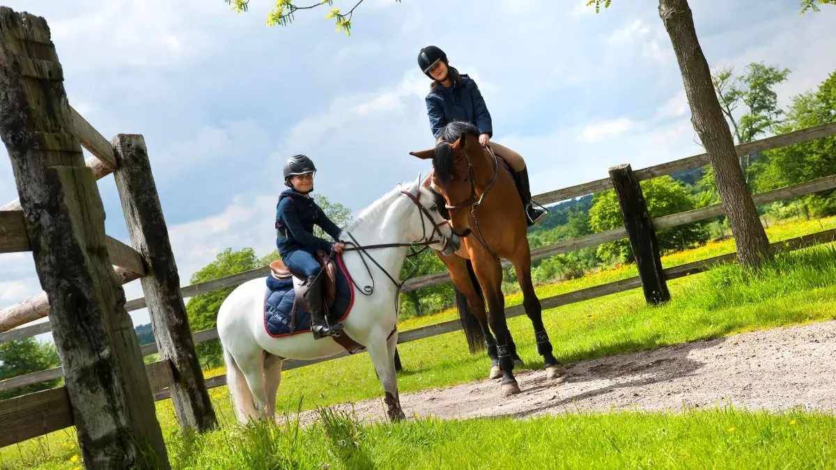 EQUI NORMANDIE HARAS DU LOUP