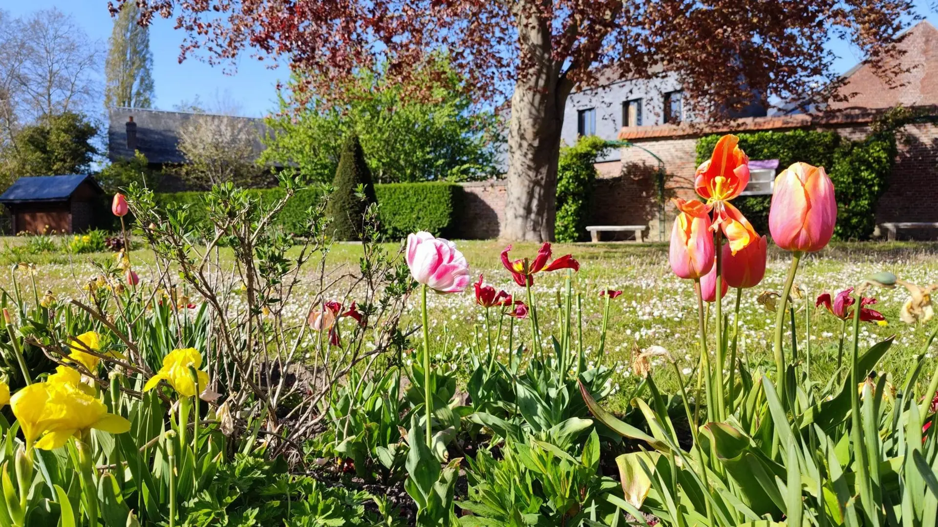 EU - Jardin des Fontaines - © M. Bosse-OTDLTM_002