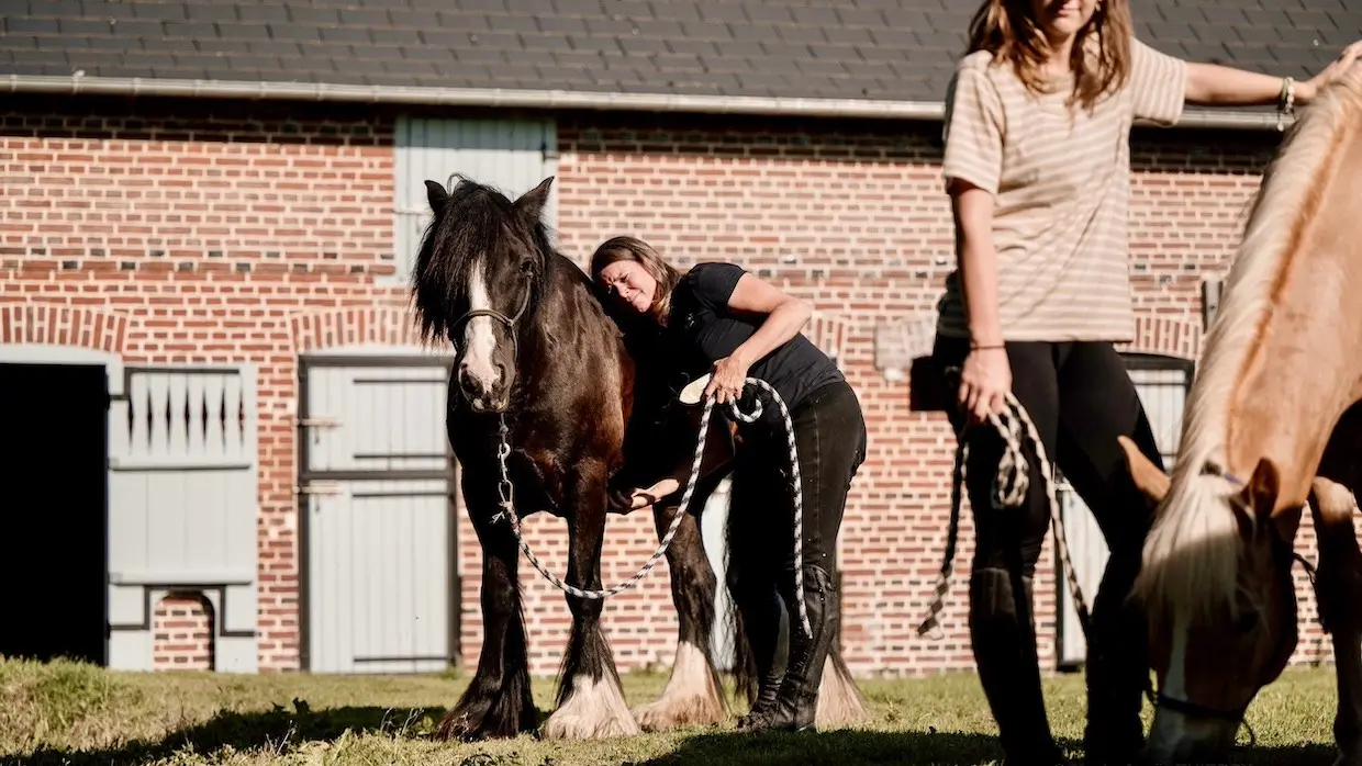 Ecurie de lyons la forêt atelier séminaires « Approche du cheval »