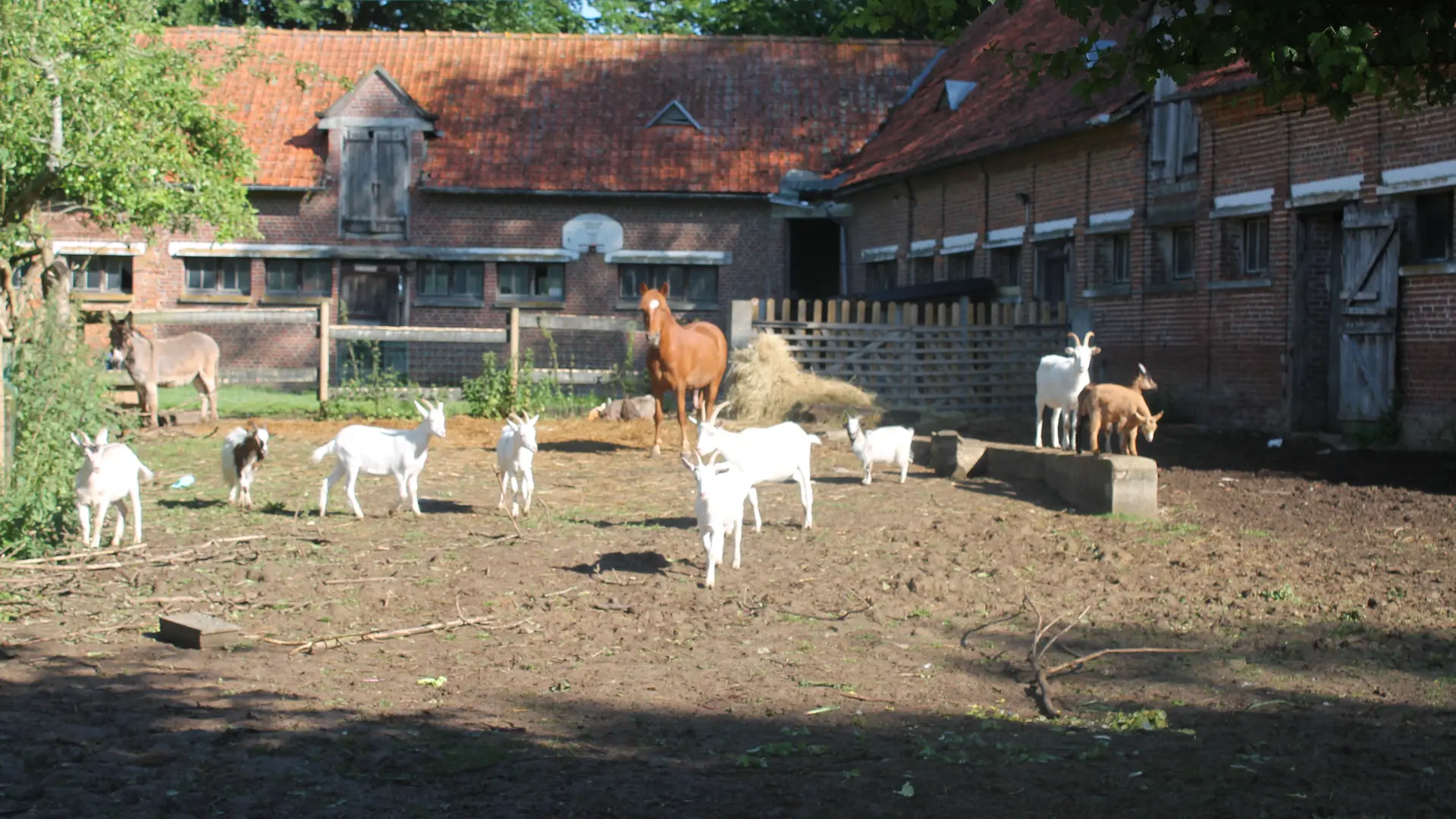 Les animaux de la ferme