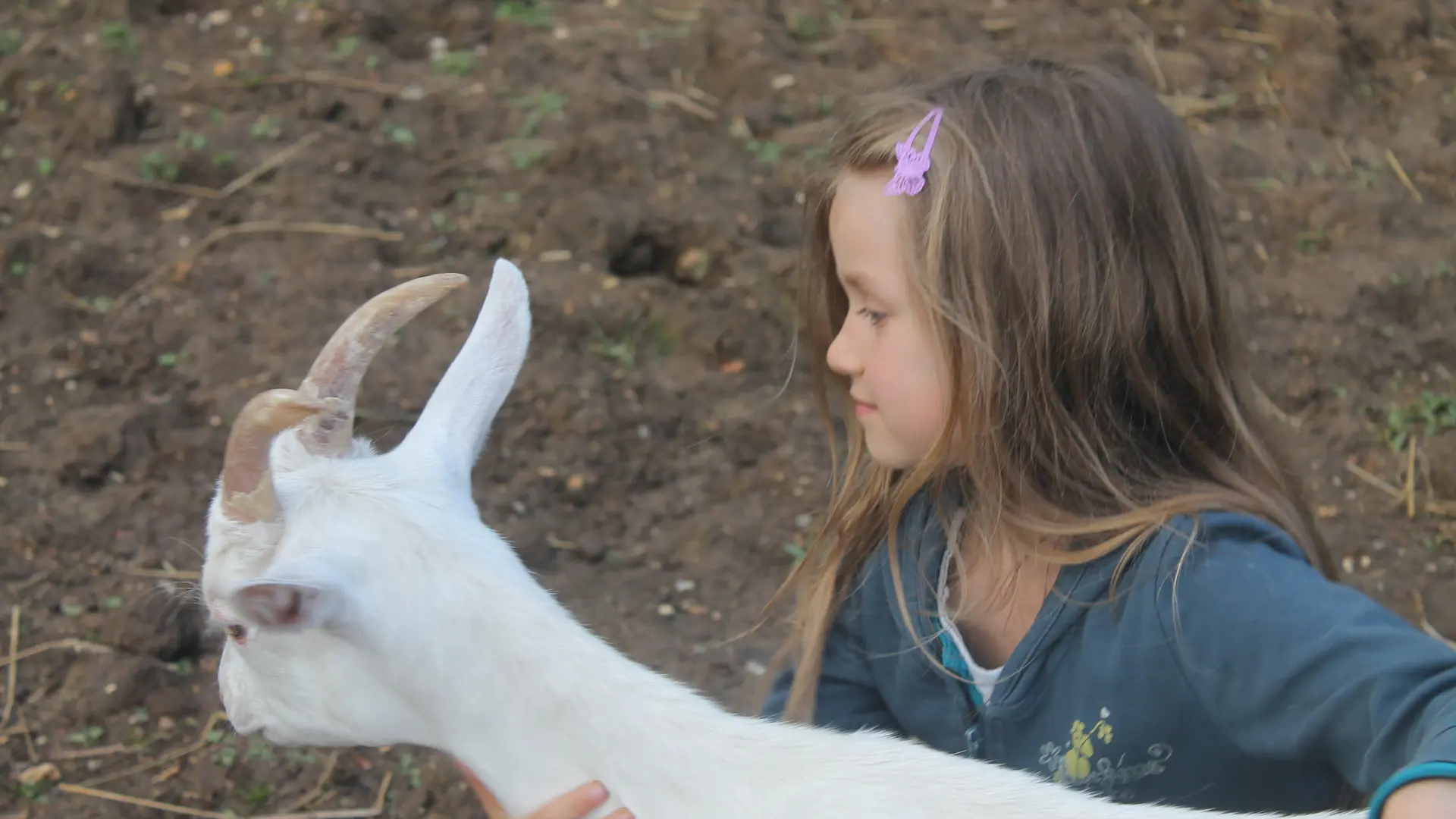 Une ferme pédagogique