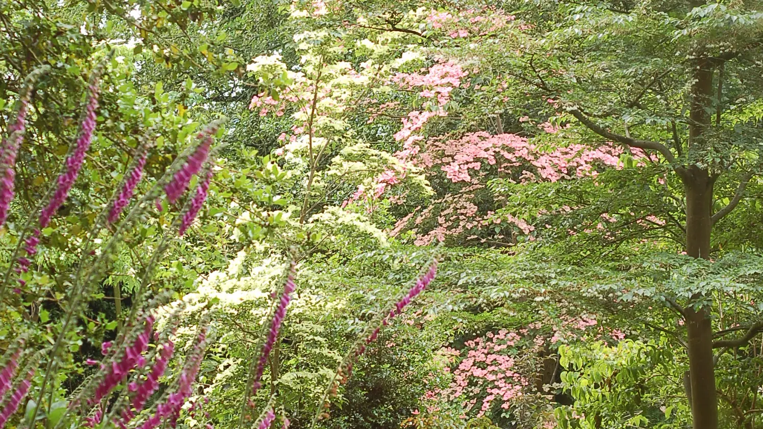 Entrée du petit-bois