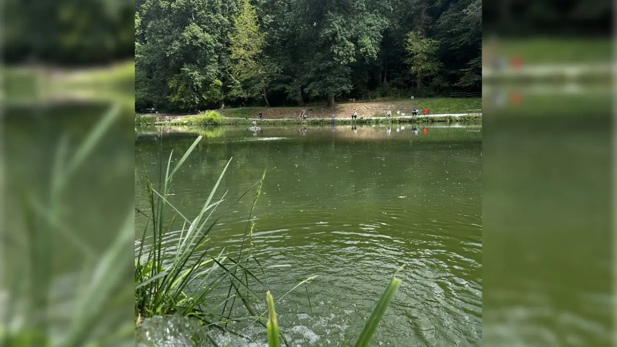Etang_du_beau_soleil_Nointot_CSNT