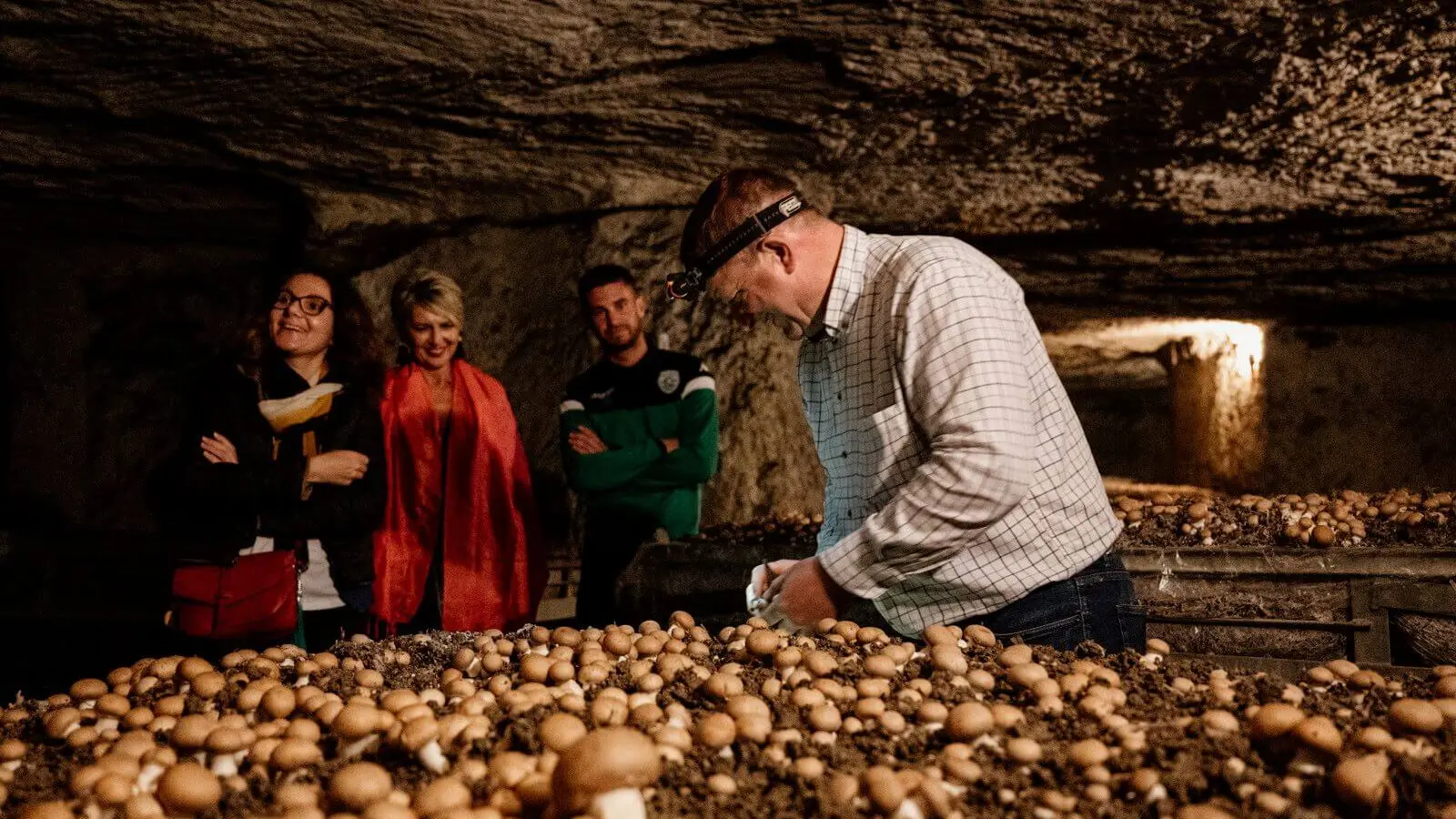 Experience_Normande__visite_champignonniere_Orbec_-_Marie-Anais_Thierry-Marie-Anais_Thierry-1600px4