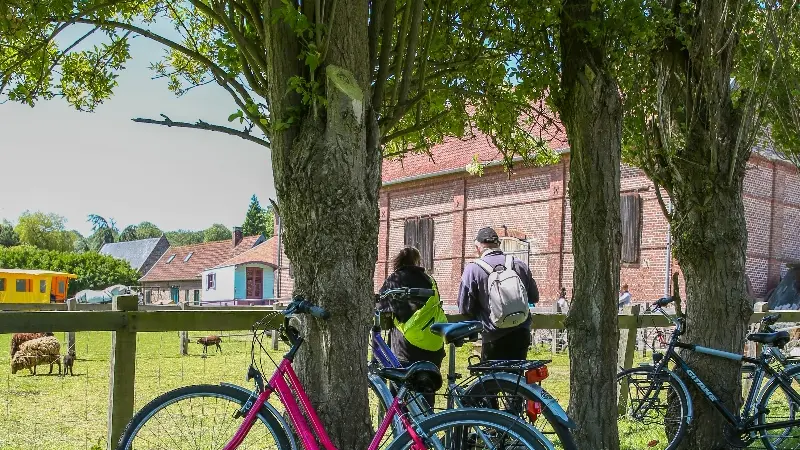 La Ferme de la Saâne à deux coups de pédales de la véloroute du lin