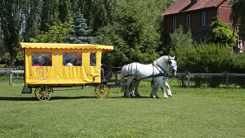 Balade en calèche