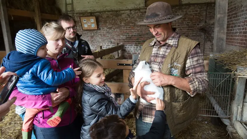 Découverte des animaux de la ferme