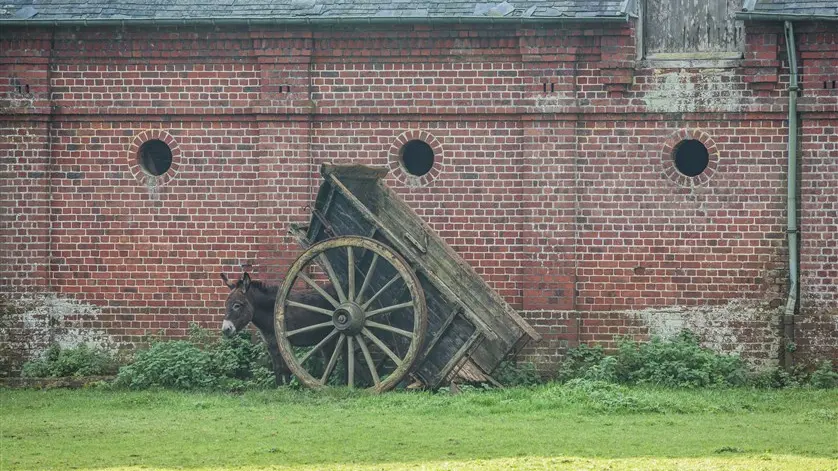 Détail de la ferme