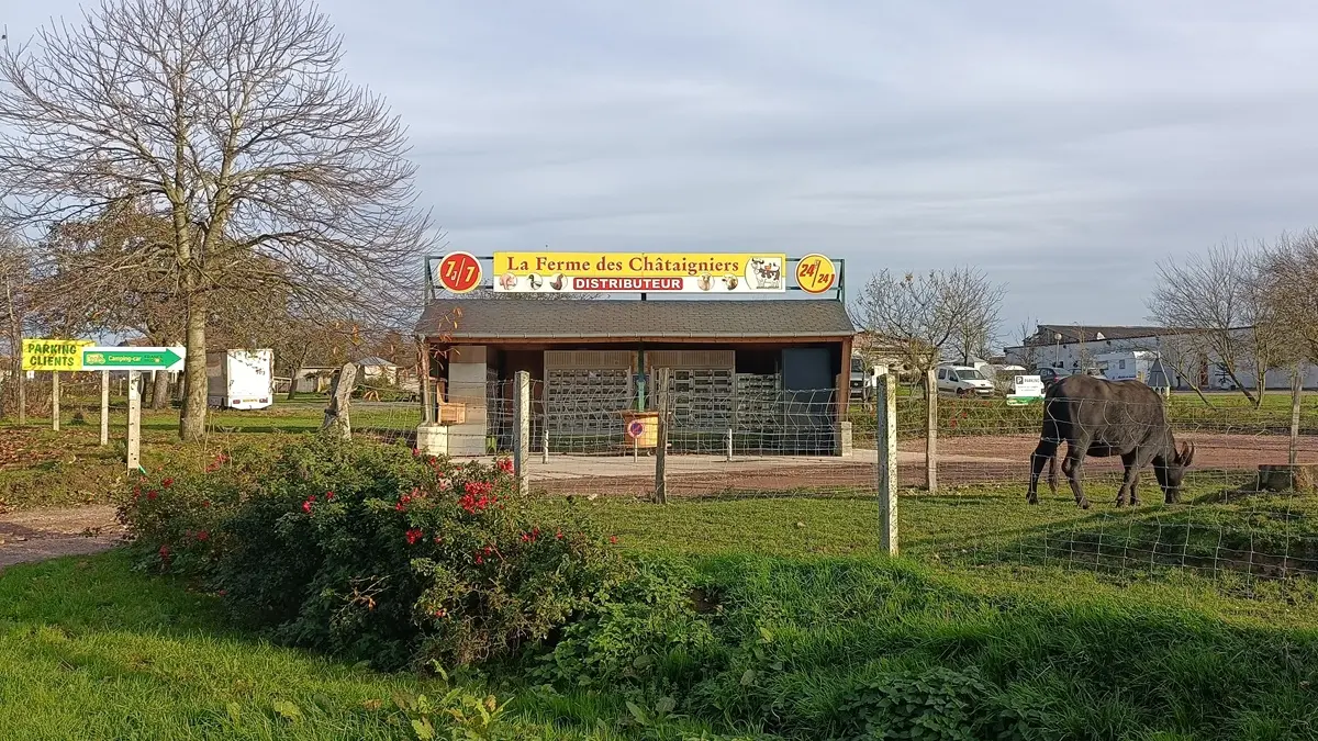 Ferme-des-Chataigniers-Catenay-Normandie-Caux-Vexin
