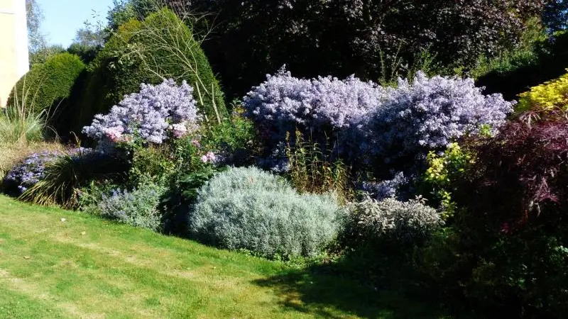 Le Jardin du Colombier