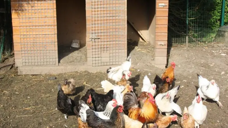 Gîtes de France® - L'Ecurie d'Hubert